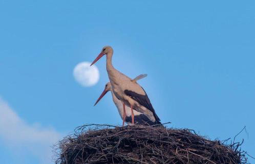 62m2 Apartament PREMIUM Łąki i Pola, ELEKTRYCZNE ROLETY, KLIMATYZACJA, GARAŻ, ŁADOWARKA AUT ELEKTRYCZNYCH - Foto 52