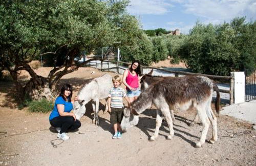 Casas Rurales Cazorla-Alcón - Foto 55