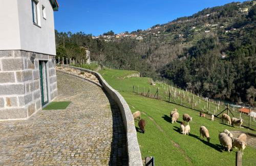 Quinta de Varzielas - Agroturismo - Foto 17