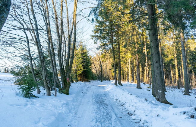 Quaint Holiday Home near Ski Area in Neuastenberg - Foto 31