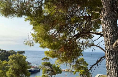 D & A Land luxury house - Photo 7