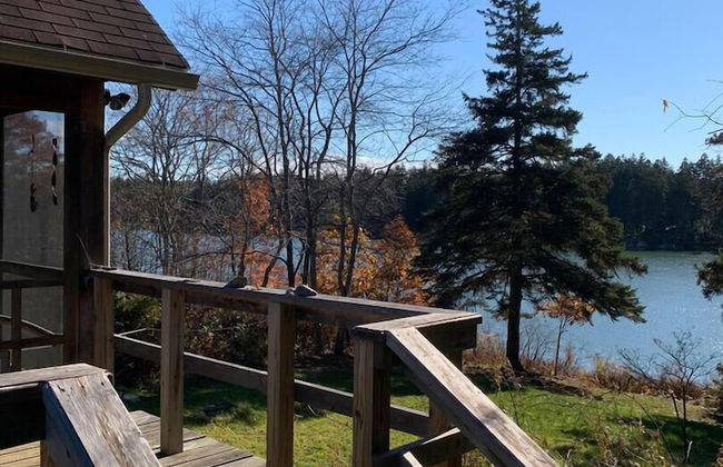 Dear Cove - Kayaking! - Foto 1