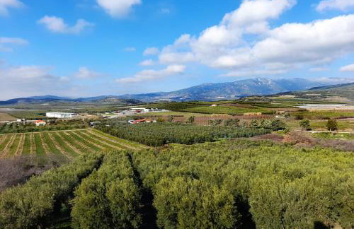 Panoramico View - Foto 14