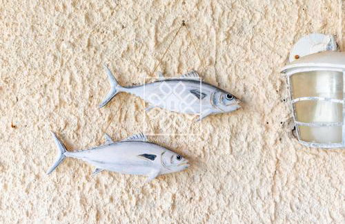 L'Oasi Blu - Foto 62