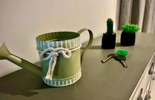 Le Chorier- Appartement Centre ville avec Jardin - Foto 14