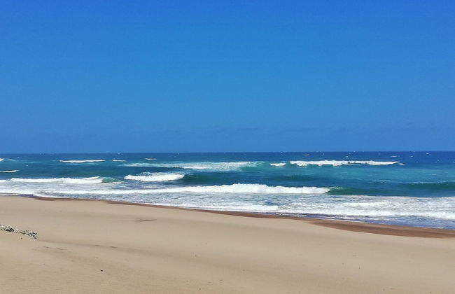 Caribbean Estate Deluxe - Photo 49