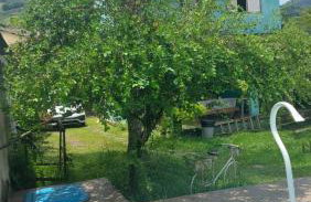 Tranquilidade e paz - Foto 2