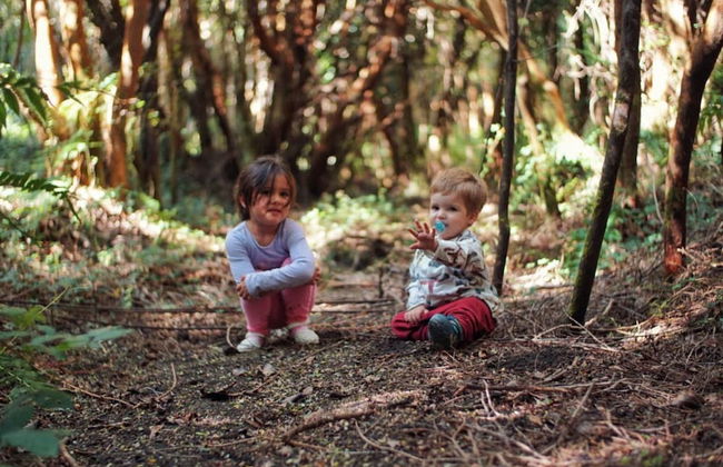 Cabañas Ensenada Bosque Nativo - Foto 47