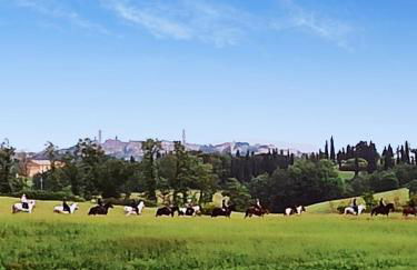 Podere Cartaio Bio Farm, private pool, AirC - Foto 50