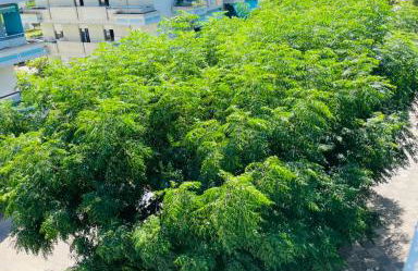 Attico Vista e Fronte mare ZaffiroBlu con posto auto - Photo 20