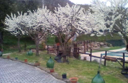 Agriturismo Costa San Bernardo - Foto 12