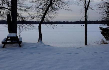 Rustic Cabin on the Shores of Pine Lake, Michigan - Foto 13
