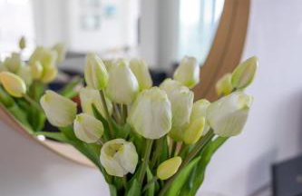 Seaview West Coast - Exceptional - 2 Bedrooms Sleeps 5 -Stunning Sea Views - 500 metres to Beach - Foto 25