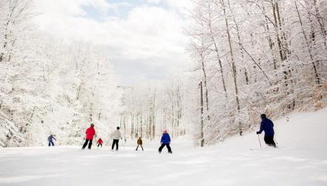 Shanty Creek Resort Bellaire Michigan - Foto 3