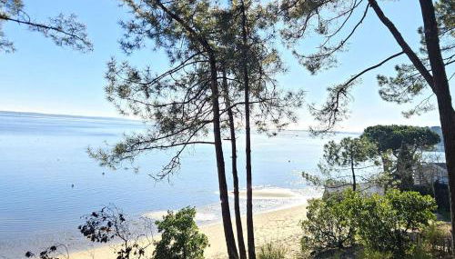 Villa lumineuse avec grand jardin, au calme, proche plages et commerces au cœur de Petit-Piquey - FR-1-736-30 - Photo 2