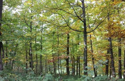 Casa Rural con encanto "Los Postigos" - Foto 118