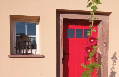 Agroturystyka Jak Makiem Zasiał Dworki 10 - Foto 44