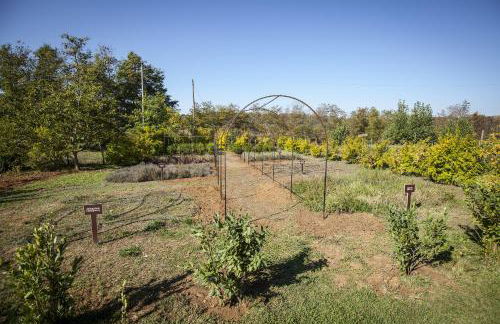 Agriturismo Bannata - Foto 110