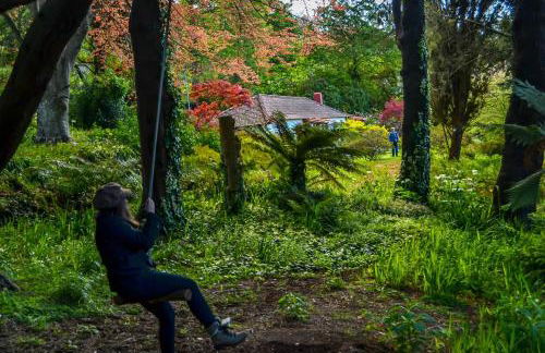 Valle Paraizo - Foto 60