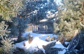 Janiołowo - Foto 22