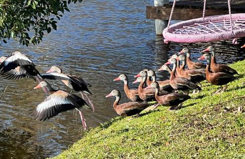 Private Tropical Waterfront Sanctuary w pool, hot tub & an island! Pet Friendly - Foto 23