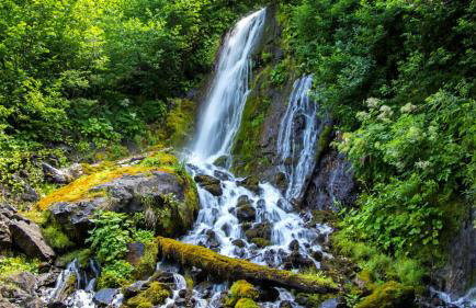 Modern villa Bibali Istra with pool in Buje - Foto 26