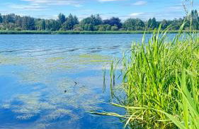 Holiday Home caravan LOCHLANDS Forfar - Foto 11