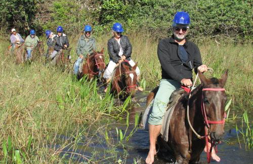 Pousada São João - Estrada Parque Pantanal - Photo 35