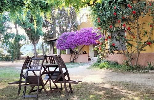 MAS DE BERNIS - Masovers - Foto 21