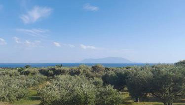 Ulivi e Mare - Foto 4