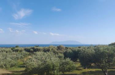 Ulivi e Mare - Foto 4