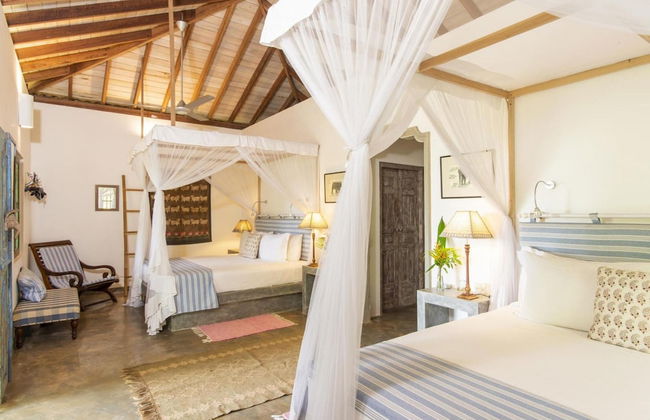 08 Acre Private Tea Estate Close To Galle - Photo 20