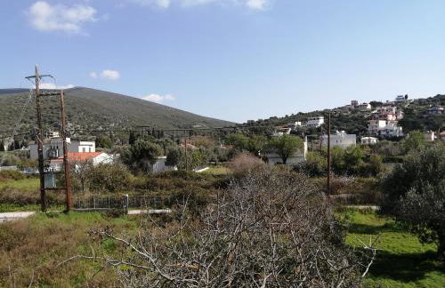 Almira Ghouse - Foto 34