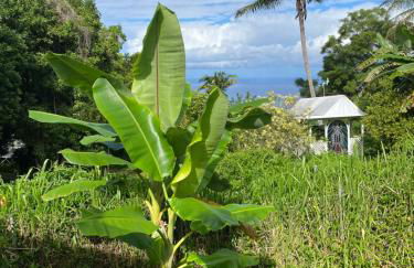 Cozy jungle boat hideaway with stunning ocean view - Foto 5