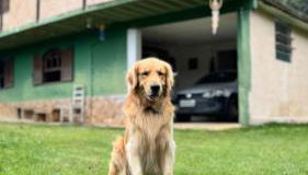 Recanto do major - Foto 1