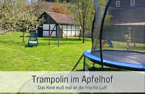 Ferienwohnung im Sauerland Hunde willkommen Kamin und Garten am Waldrand Muehls-Sauerland - Foto 23