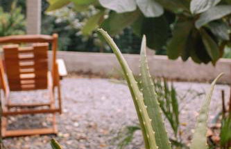 Quinta dos Samaniego - Chalés Rústicos e Suítes - Foto 73