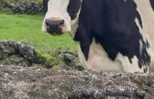 Stunning ocean view with 3 islands in front of you - Photo 28