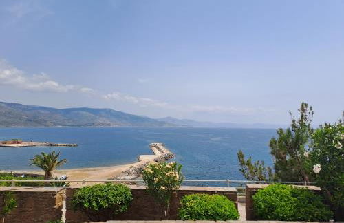 Volissos Holiday Homes - Foto 43