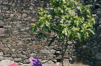 Galpon Boutique Aldea De Abaixo - Foto 16