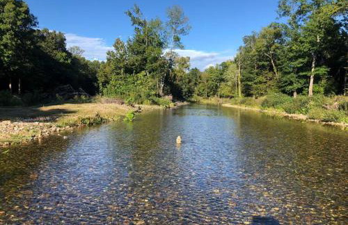 Collier Cabin on Collier Creek - Foto 6
