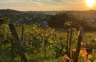 Le grand Houx - Foto 59