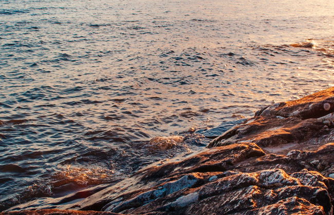 Balade en bateau sur le Río de la Plata - Photo 1