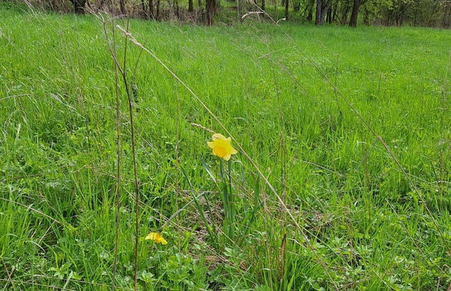 Cozy Apartment Near the Forest in Mark - Foto 17