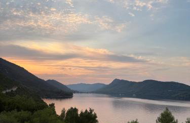 Koko's home - Photo 44