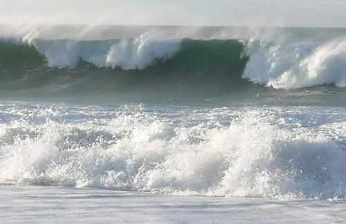 Le grand Houx - Foto 60