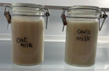 Luxury flat in Totnes - Foto 18