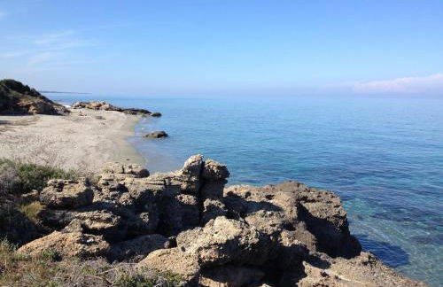 Le Clos des Arbousiers - Foto 41