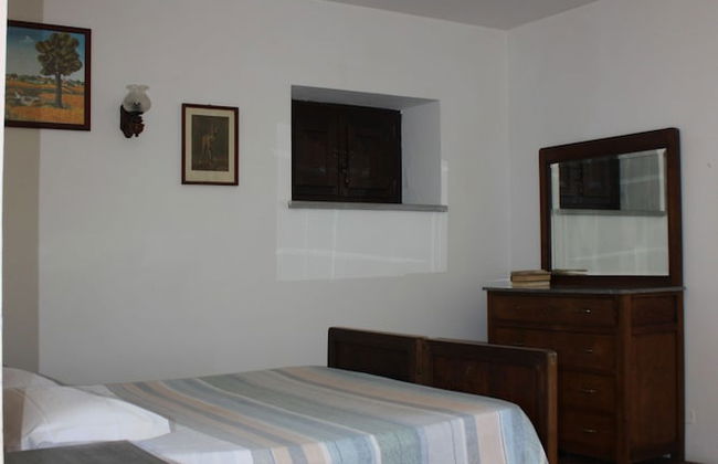 Le Chianine dei Tognoli - Foto 3