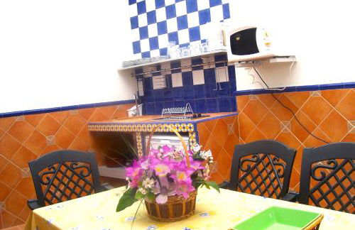 Flamencos del cerrado - Photo 24